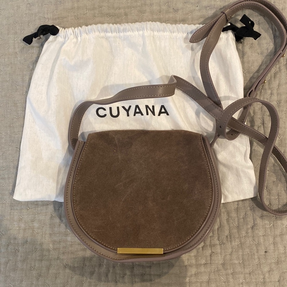Cuyana mini saddle bag in gray!